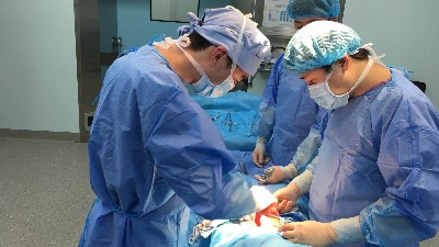 膽囊切除后為什么長(zhǎng)期腹瀉？